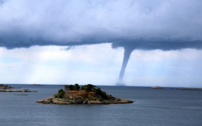 How to Survive a Sea Storm